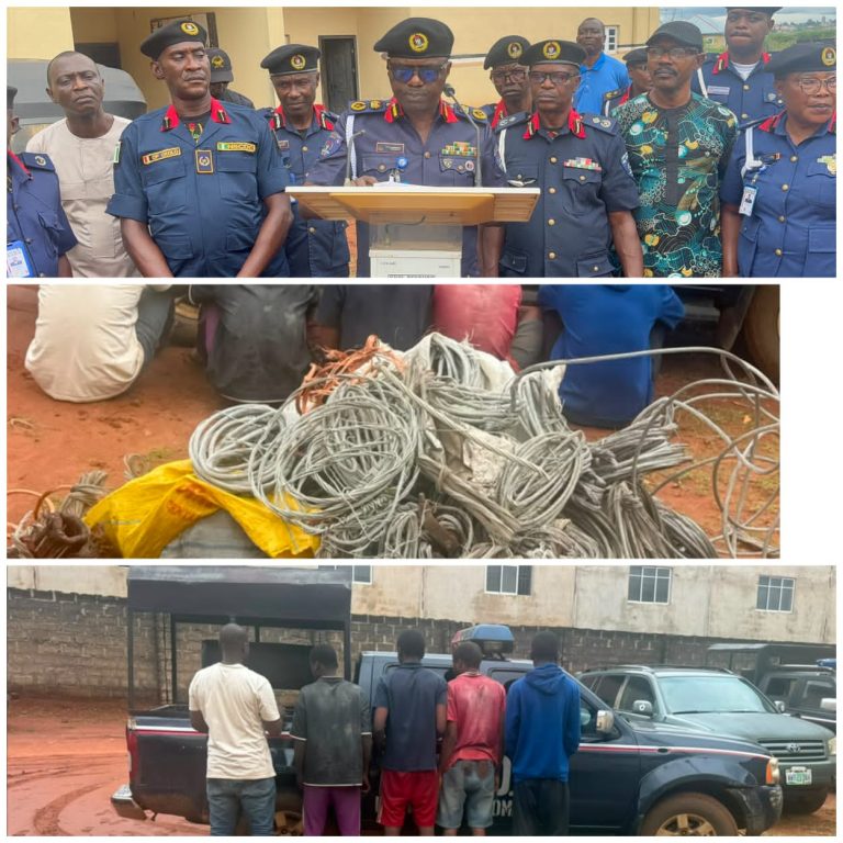 NSCDC Delta Busts Alleged Power Cable Vandal Syndicate, Arrests Five Suspects in Kwale